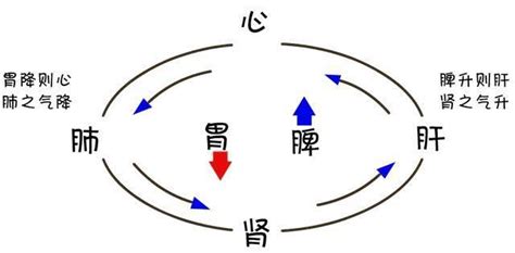 理氣|理氣的解釋